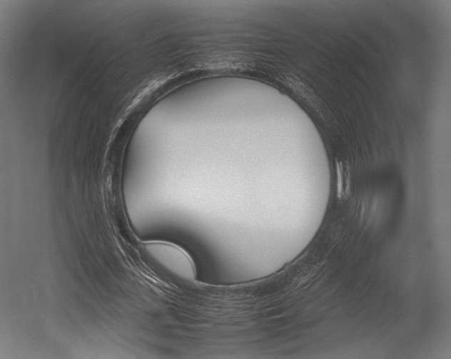 X0000054430723200507290951