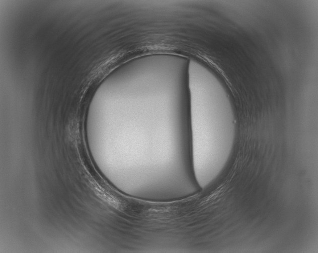 X0000054430725200507290951