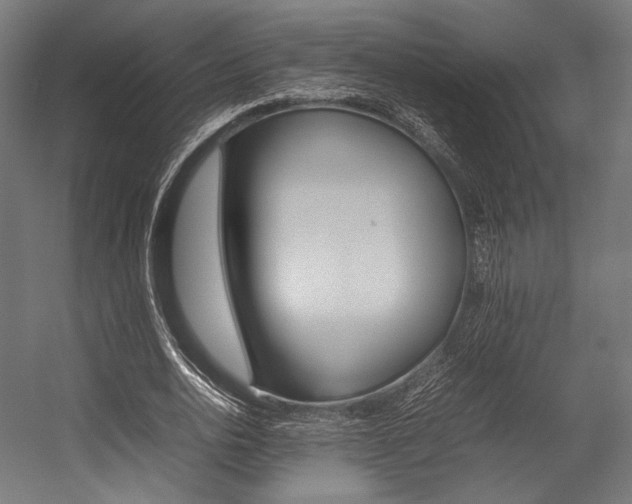 X0000054430726200507290951