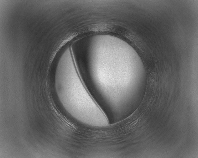 X0000054430727200507290951