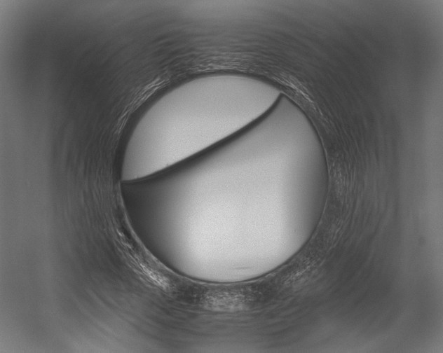 X0000054430729200507290951
