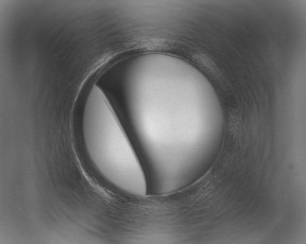 X0000054430730200507290951