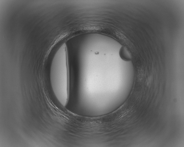 X0000054430731200507290951