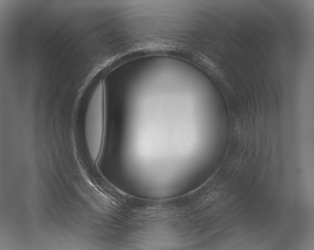 X0000054430732200507290951
