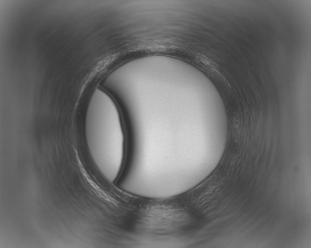 X0000054430734200507290951
