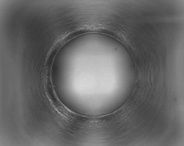 X0000054430736200507290951