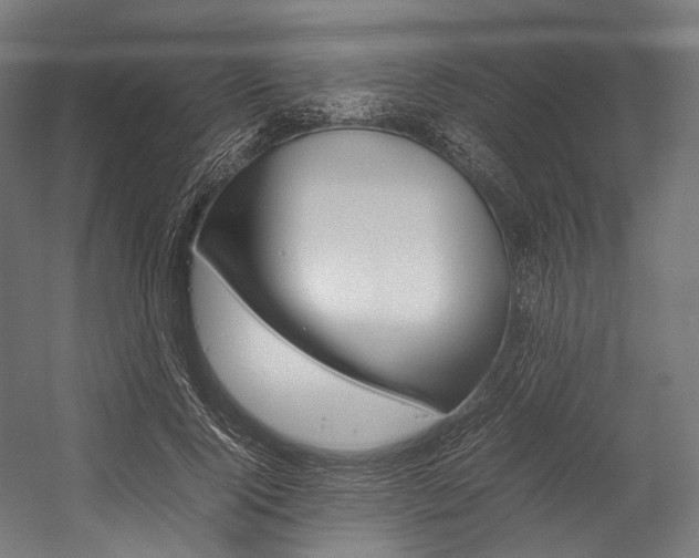 X0000054430740200507290951