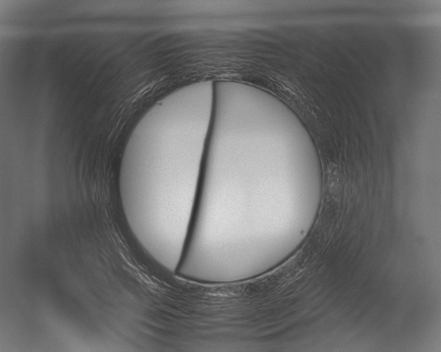 X0000054430741200507290951
