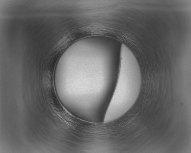 X0000054430744200507290951