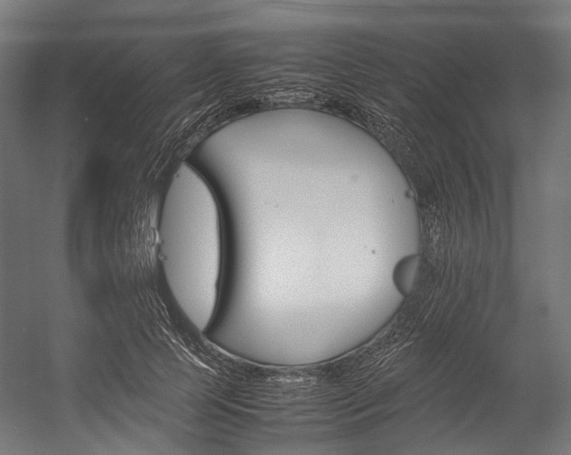 X0000054430745200507290951