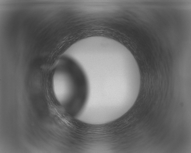 X0000054430750200507290951