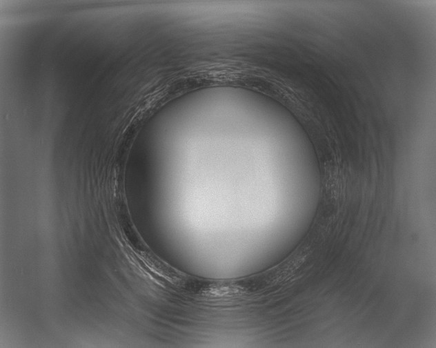 X0000054430752200507290951