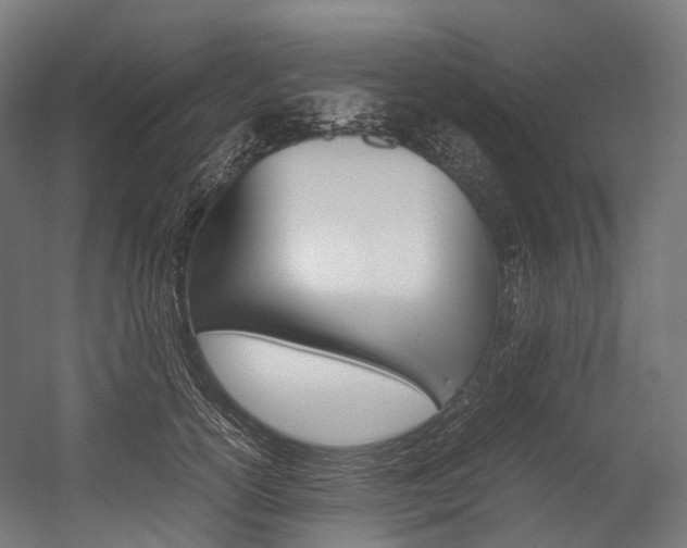 X0000054430754200507290951