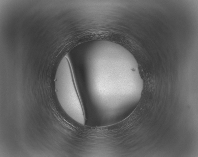 X0000054430756200507290951