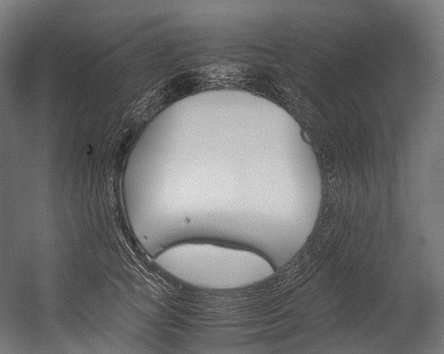 X0000054430757200507290952