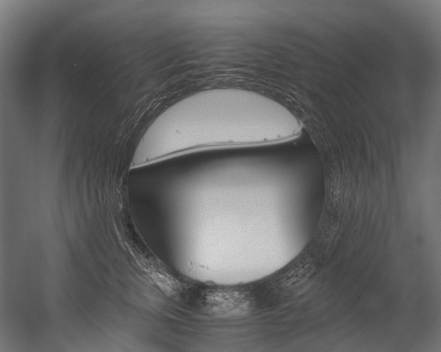 X0000054430759200507290952