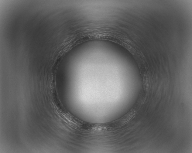 X0000054430760200507290952