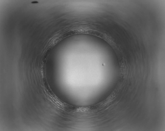 X0000054430762200507290952