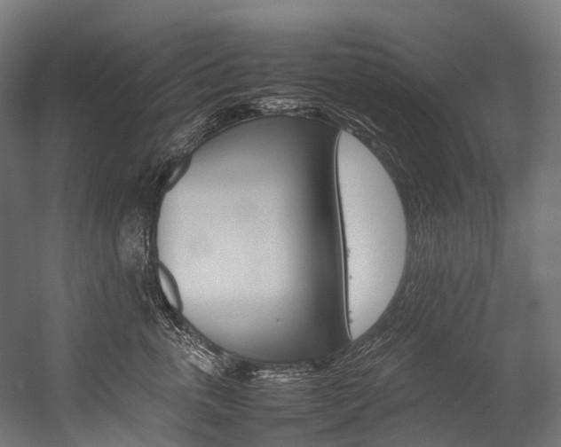 X0000054430763200507290952