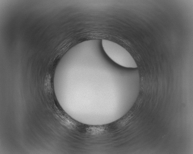 X0000054430765200507290952