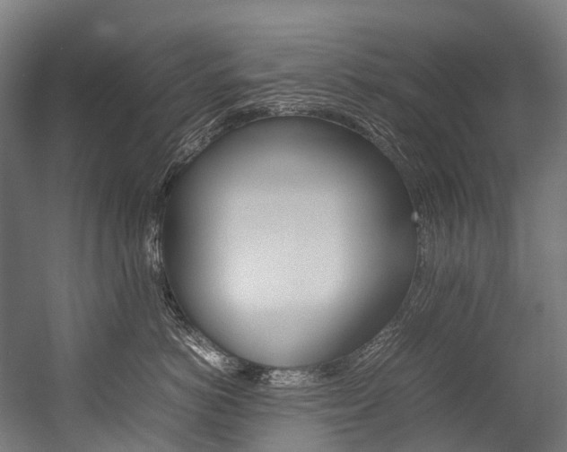 X0000054430766200507290952