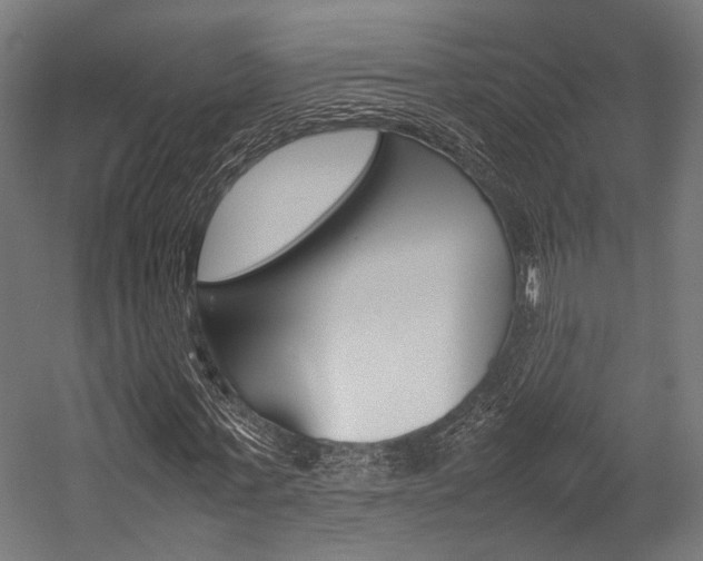 X0000054430771200507290951