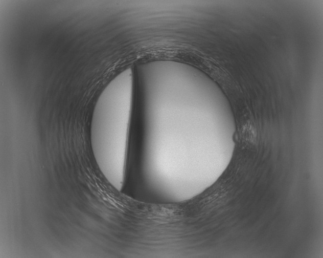 X0000054430772200507290951