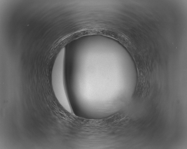 X0000054430773200507290951