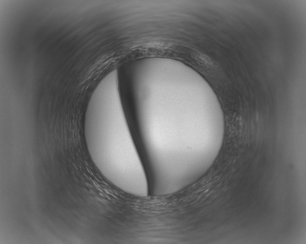 X0000054430774200507290951