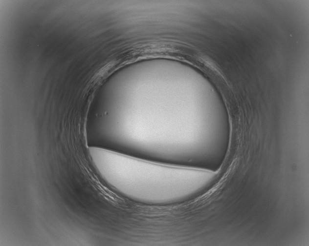 X0000054430777200507290951