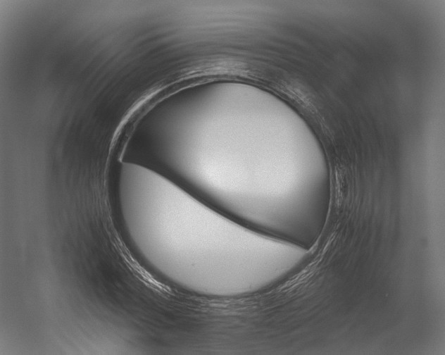 X0000054430780200507290951