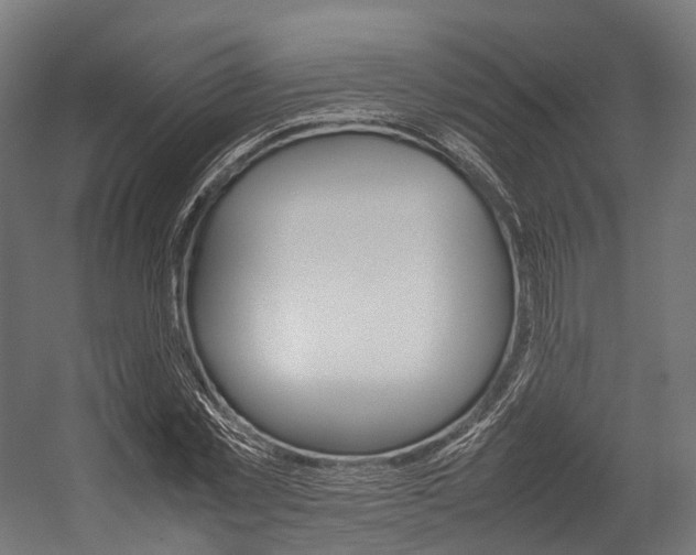 X0000054430781200507290951