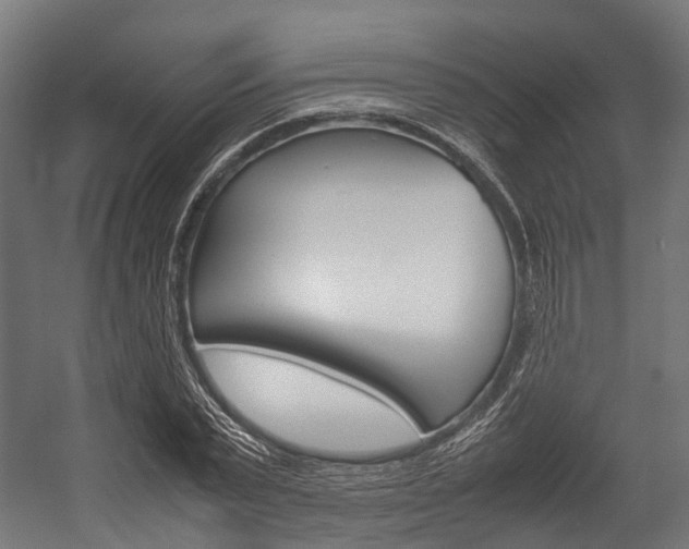 X0000054430783200507290951