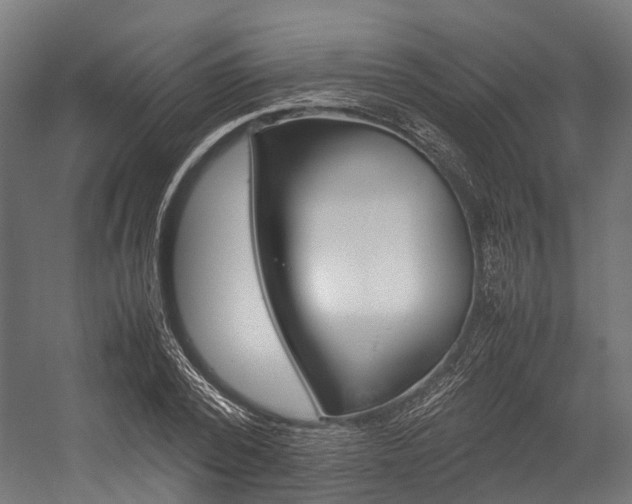 X0000054430784200507290951