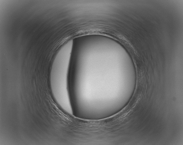 X0000054430785200507290951