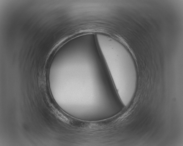 X0000054430787200507290951
