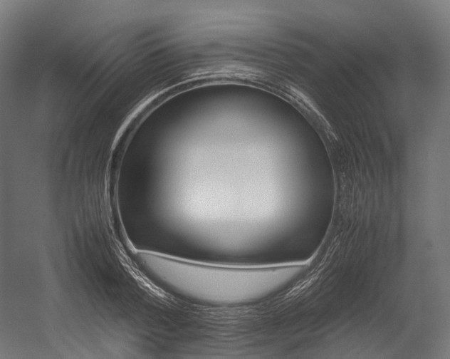 X0000054430788200507290951