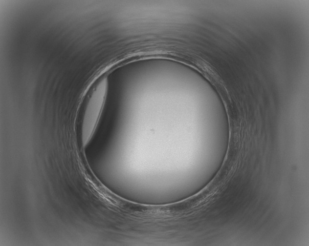X0000054430789200507290951