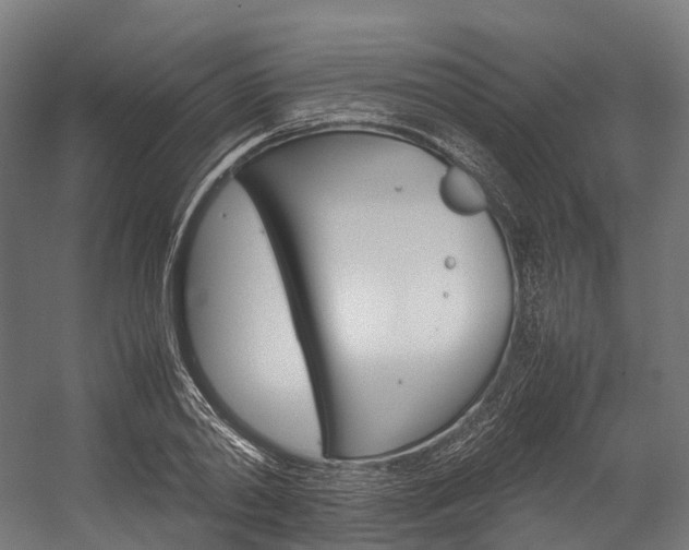 X0000054430790200507290951