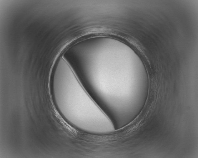 X0000054430791200507290951