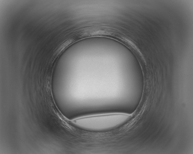 X0000054430793200507290950
