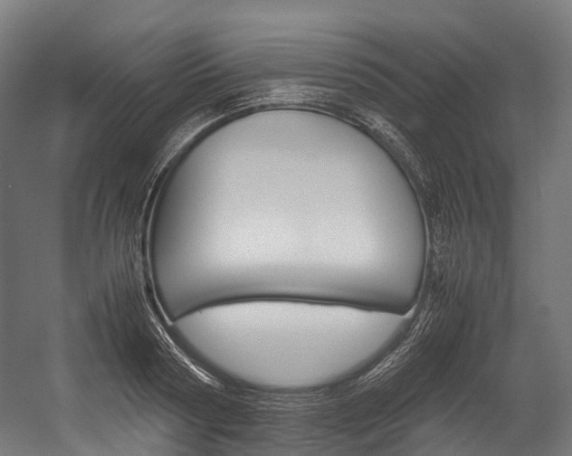 X0000054430794200507290950