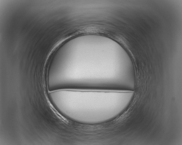 X0000054430795200507290950