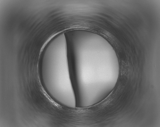X0000054430796200507290950