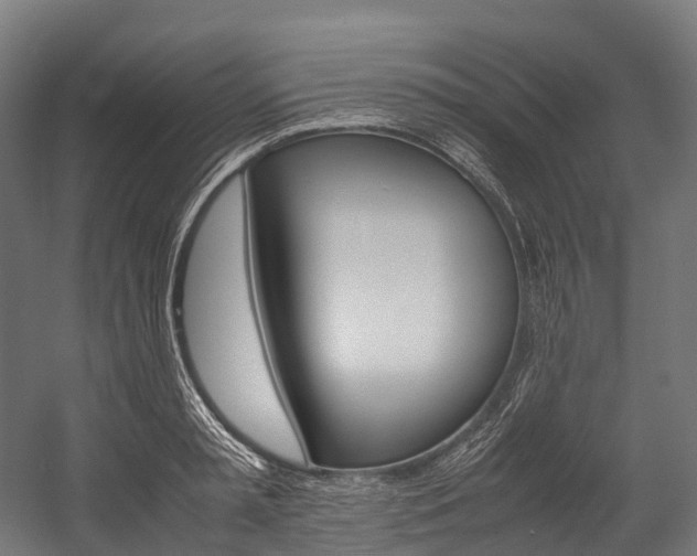 X0000054430797200507290950