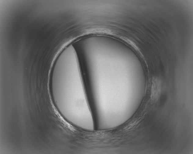 X0000054430799200507290950