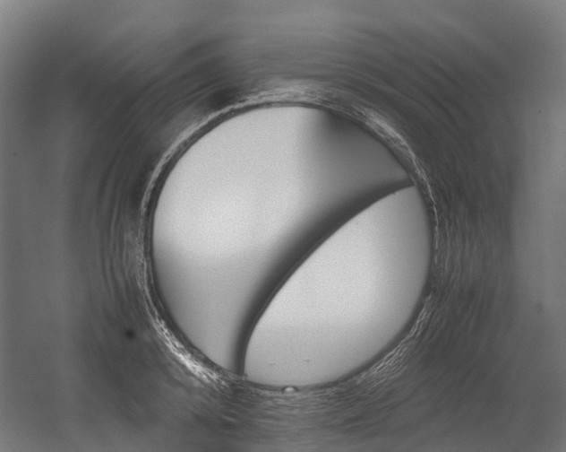 X0000054430800200507290950