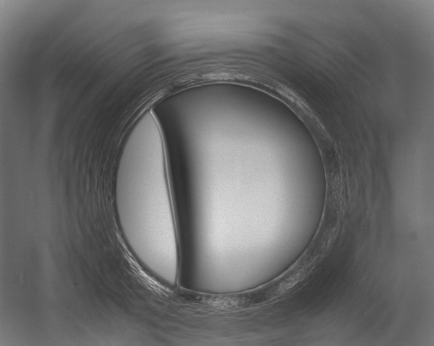 X0000054430801200507290950