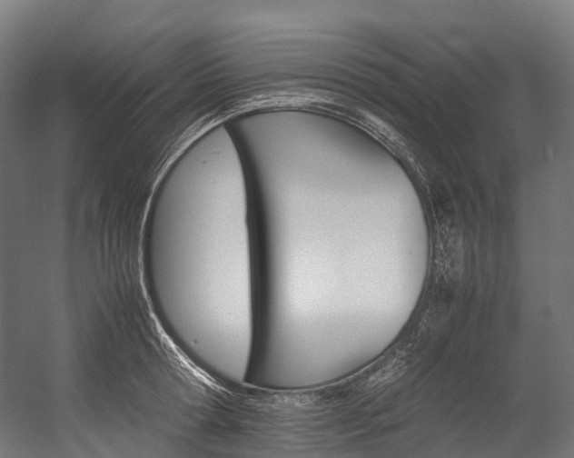 X0000054430802200507290950