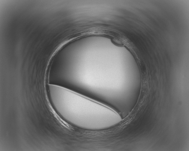 X0000054430803200507290950